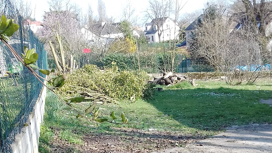 Débarras jardin Essonne