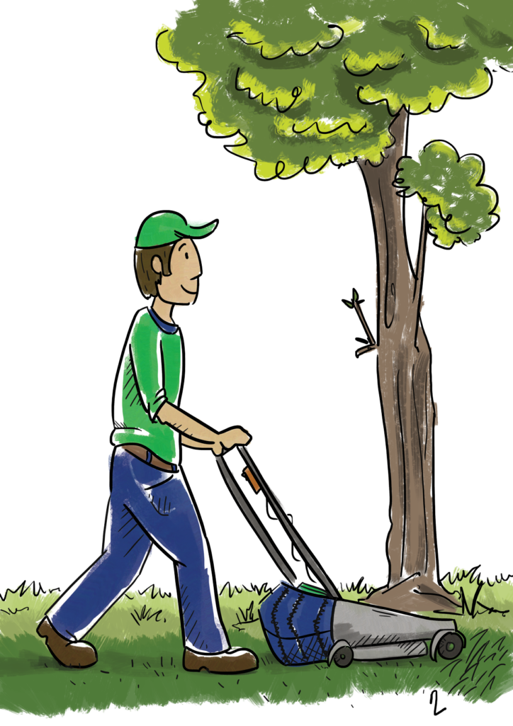 Entretien de jardin Essonne